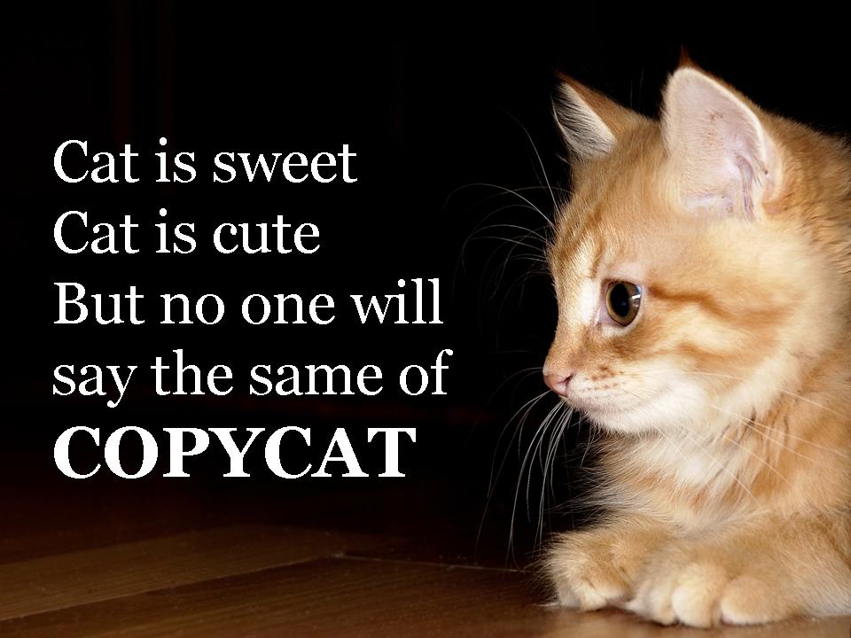 Copycat is not sweet nor cute