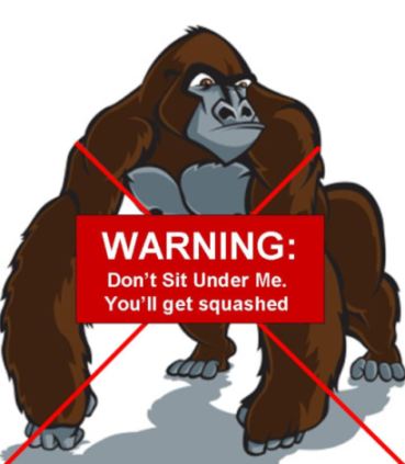Don't Sit Under a Gorilla